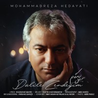 Mohammadreza Hedayati - Dalile Zendegim