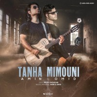 Amin & Omid - Tanha Mimooni