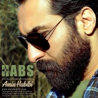 Amin Habibi - Habs