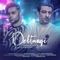 Masoud Daniyali & Vahid Parhizkar - Deltangi