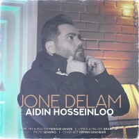 Aidin Hosseinloo - Joone Delam