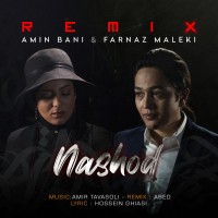 Amin Bani & Farnaz Maleki - Nashod ( Abed Remix )