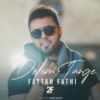 Fattah Fathi - Delom Tange