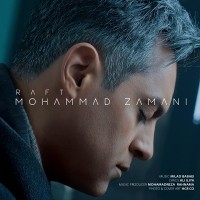 Mohammad Zamani - Raft