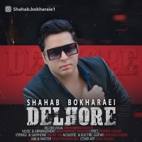 Shahab Bokharaei - Delhore