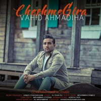 Vahid Ahmadiha - Cheshme Gira