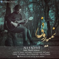 Ali Fadayi - Nemidooni
