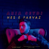 Aria Seydi - Hesse Parvaz