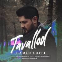 Hamed Lotfi - Tavallod