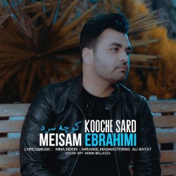 Meysam Ebrahimi - Kooche Sard