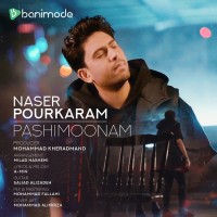 Naser Pourkaram - Pashimoonam