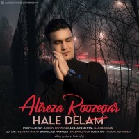 Alireza Roozegar - Hale Delam