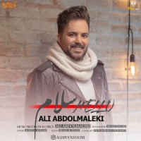 Ali Abdolmaleki - Salam
