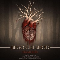 Hamoon - Begoo Chi Shod