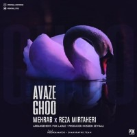 Mehrab Ft Reza Mirtaheri - Avaze Ghoo