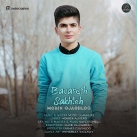Mobin Ojaghloo - Bavaresh Sakhte