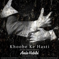 Amin Habibi - Khoobe Ke Hasti