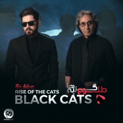 Black Cats - Rise Of The Cats