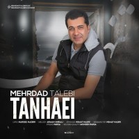 Mehrdad Talebi - Tanhaei