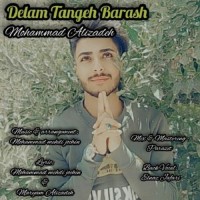 Mohammad Alizadeh - Delam Tangeh Barash