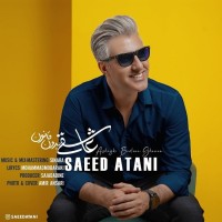 Saeed Atani - Asheghi Bedoone Ghanoon