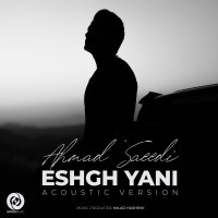 Ahmad Saeedi - Eshgh Yani ( Acoustic Version )
