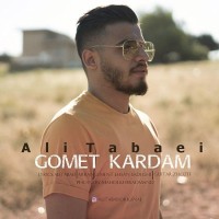 Ali Tabaei - Gomet Kardam