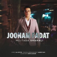 Mojtaba Shah Ali - Joonam Fadat