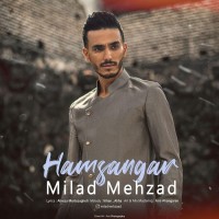 Milad Mehzad - Hamsangar