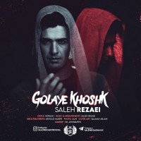Saleh Rezaei - Golaye Khoshk