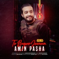Amin Pasha - To Begoo Joonam ( Remix )