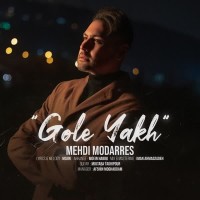 Mehdi Modarres - Gole Yakh