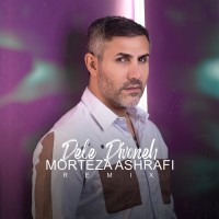 Morteza Ashrafi - Dele Divooneh ( DJ Ayda Remix )