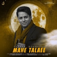 Shahab Bokharaei - Mahe Talaei