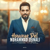 Mohammad Zeinali - Havaye Del