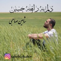 Shahin Sahebi - Delam Be Rahete Hossein