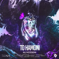 Ali Hosseini - To Hamooni