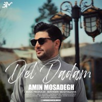 Amin Mosadegh - Del Dadam