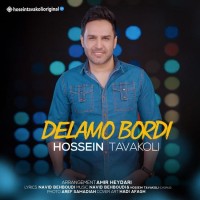 Hossein Tavakoli - Delamo Bordi