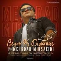 Mehrdad Mirsaeidi - Begoo Ki Divoonas