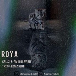 Mohammad Call2 & Amir Darvish - Roya