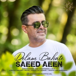 Saeed Aeen - Delam Bahate