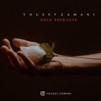 Yousef Zamani - Gole Shekaste