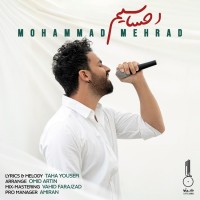 Mohammad Mehrad - Ehsasiam ( Guitar Version )