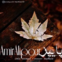 Amir Alipour - Paeez