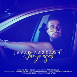 Javad Razzaghi - Jange Asab