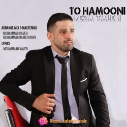 Reza Talebi - To Hamooni