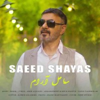 Saeed Shayas - Sahele Aram
