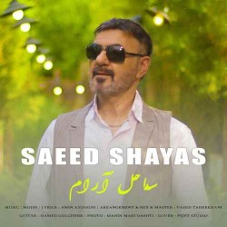 Saeed Shayas - Sahele Aram