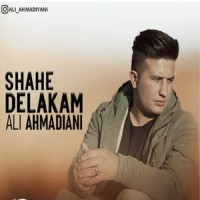 Ali Ahmadiani - Shahe Delakam